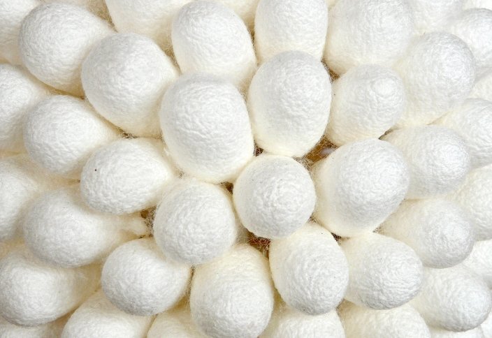 Casulos brancos de seda Mulberry utilizados na produção de fibras e tecidos de seda para o setor têxtil.